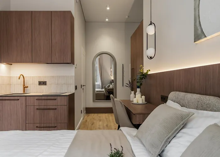 In Centre Self Check-in No 2 维尔纽斯