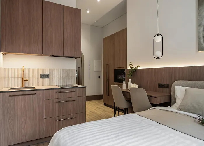 In Centre Self Check-in No 2 维尔纽斯